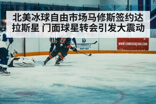 北美冰球自由市场马修斯签约达拉斯星 门面球星转会引发大震动